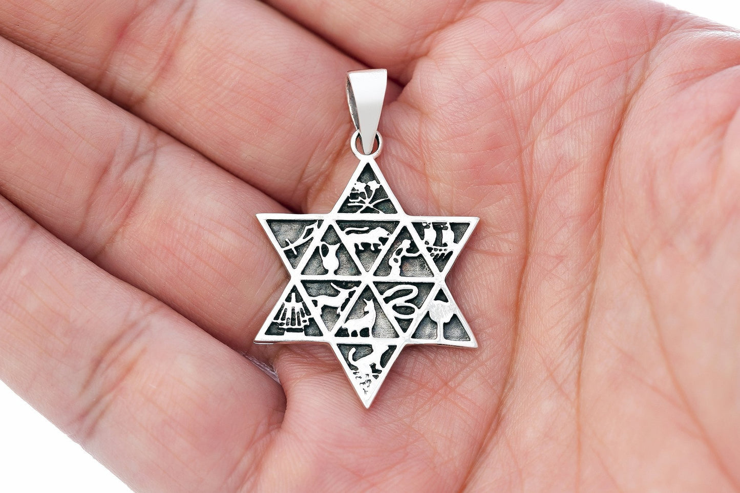 Sterling Silver 12 Tribes of Israel with Star of David Pendant - SilverMania925