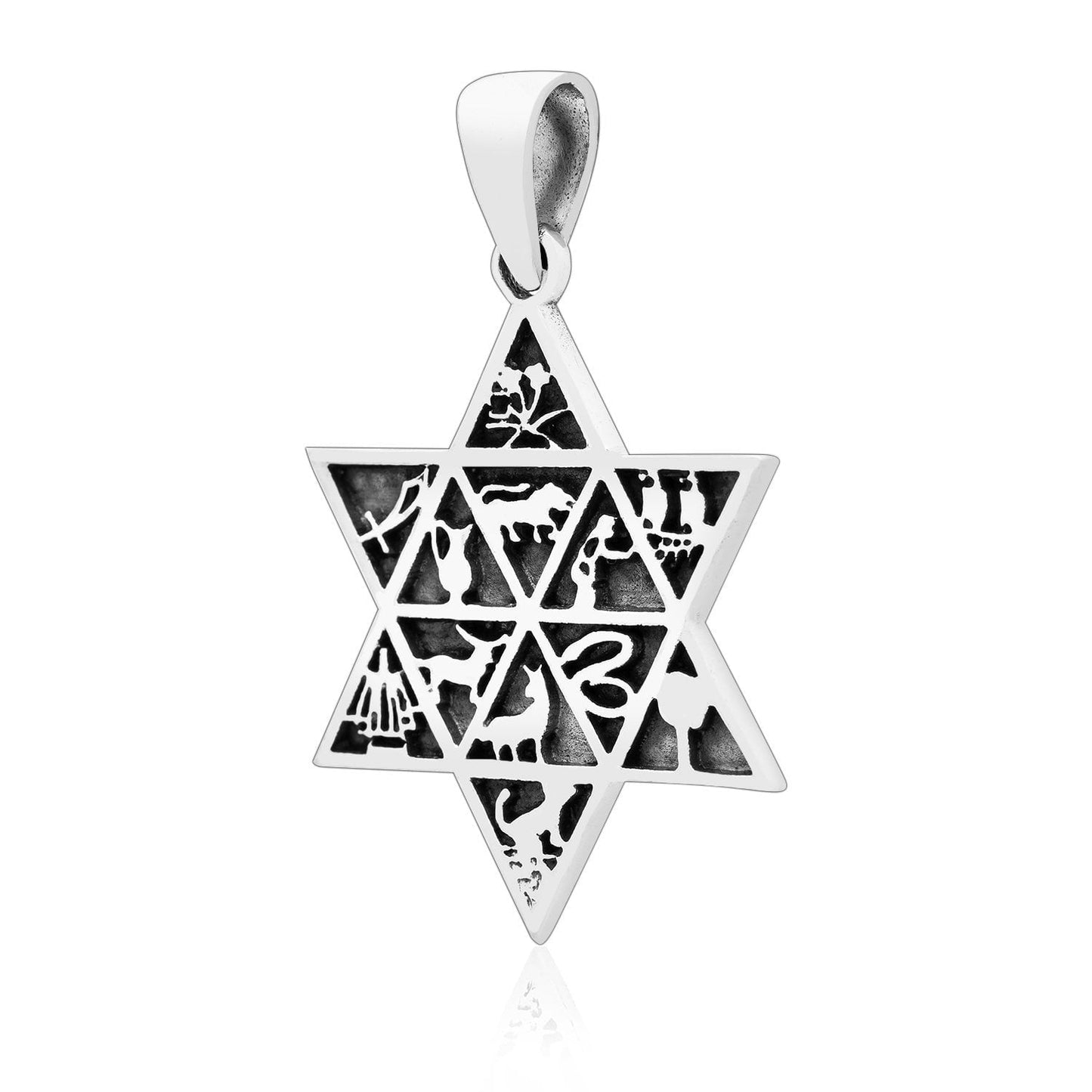 Sterling Silver 12 Tribes of Israel with Star of David Pendant - SilverMania925