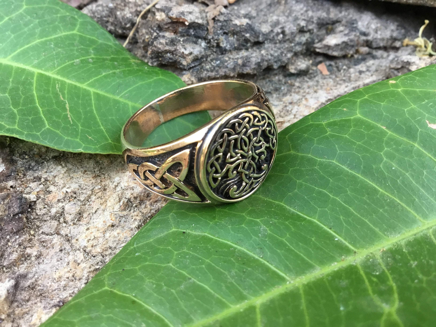 Viking Yggdrasil Bronze Ring with Knotwork - SilverMania925